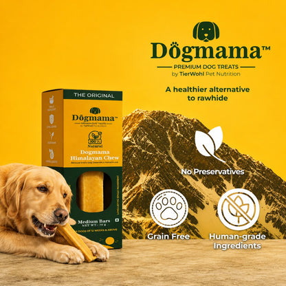 Himalayan Chew (Medium - Box Design)  60g
