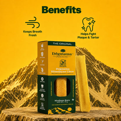 Himalayan Chew (Medium - Box Design)  60g